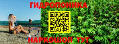 spice Бийск