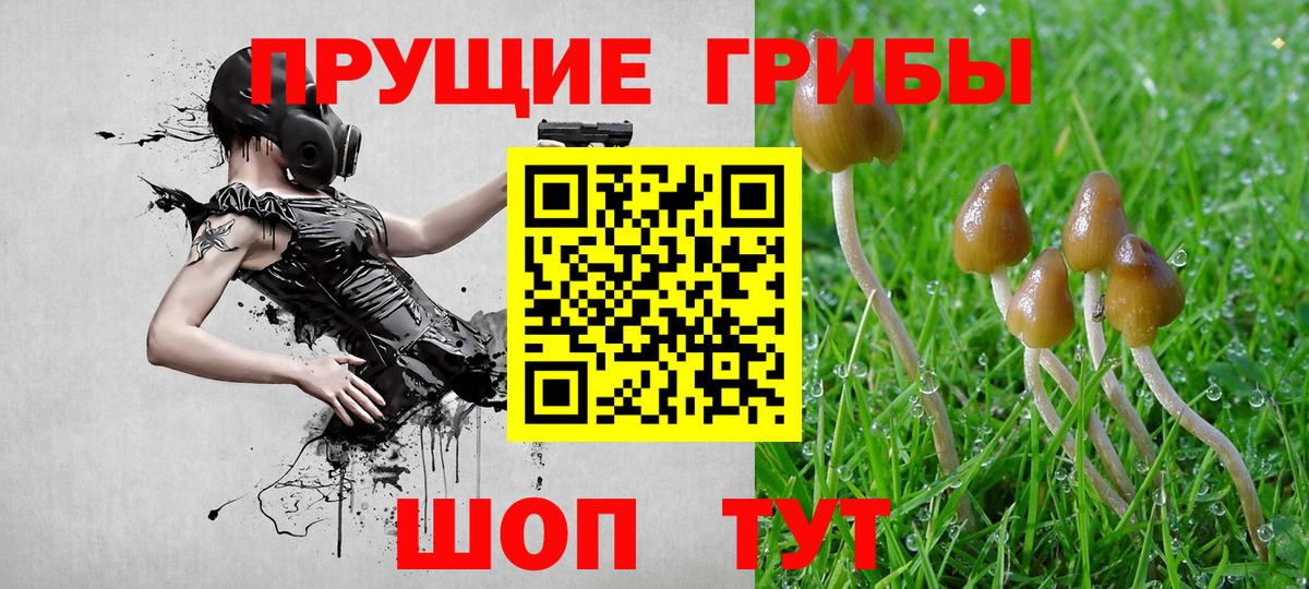 Псилоцибиновые грибы GOLDEN TEACHER Клин