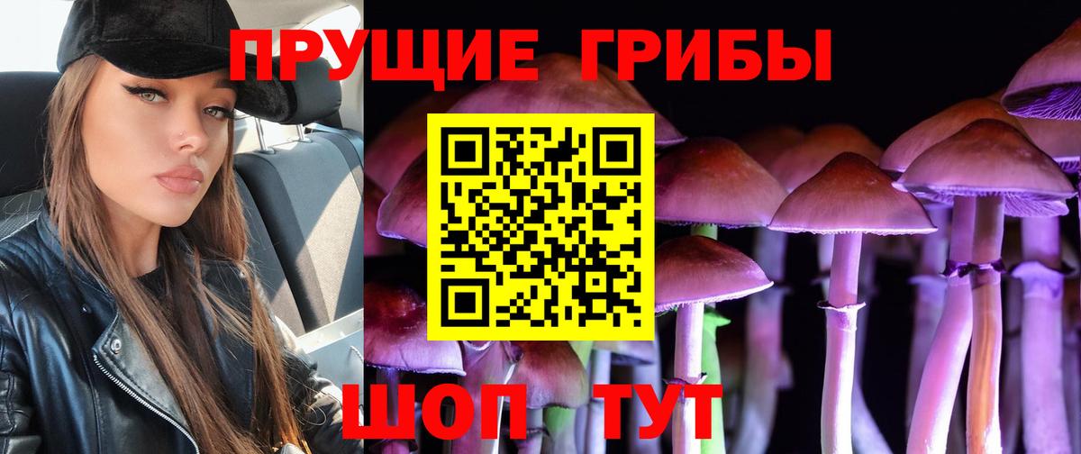 закладка  Псилоцибиновые грибы Psilocybine cubensis  Псилоцибиновые грибы Magic Shrooms  Вход с VPN  Клин 